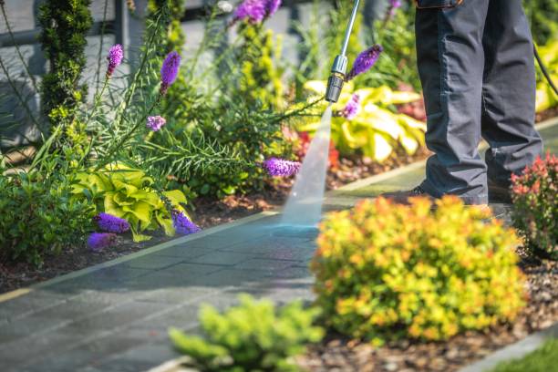 Best Post-Construction Pressure Washing  in Verona Walk, FL